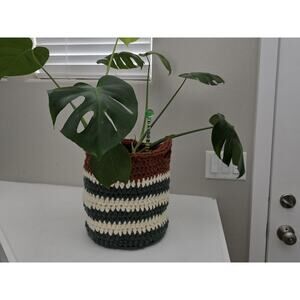 Handmade Crocheted Basket | Custom Sizes & Colors | Lion Brand Hue and Me Yarn